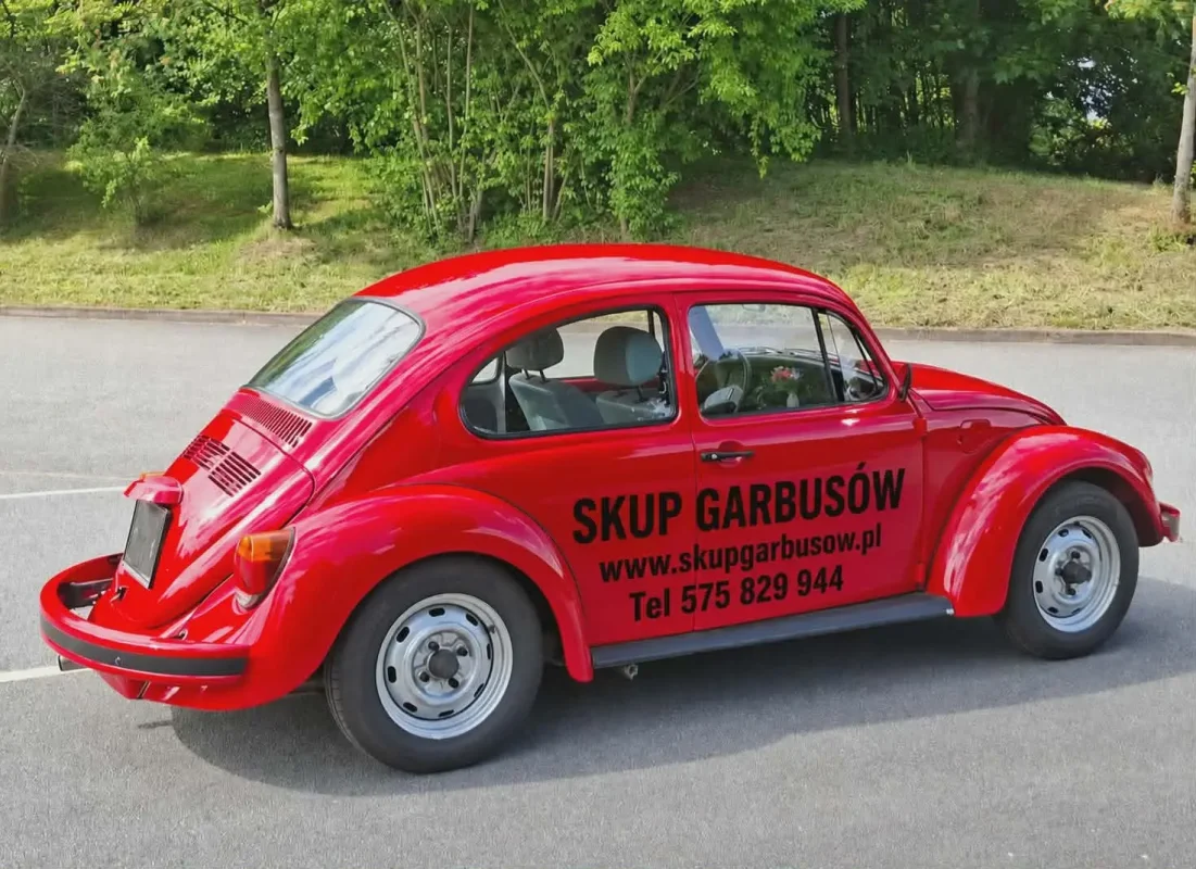 Skup Volkswagenów Garbusów Buggy Baja 575 829 944 - zdjecie glowne