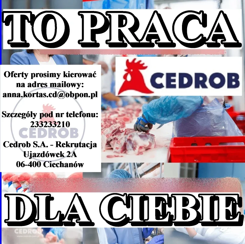 Operator wózka widłowego w Sekcji Załadunku Drobiu (K/M) powiat ciechanowski, mławski, działdowski - zdjecie glowne