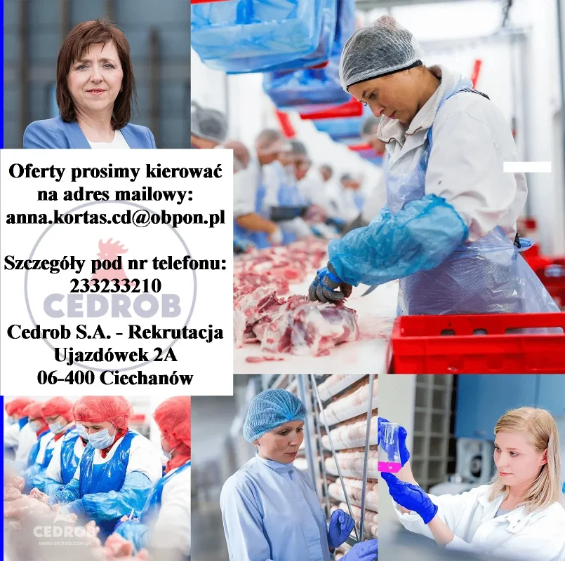 Automatyk w Dziale Wdrożeń i Utrzymania Ruchu (M/K) Zakład Mięsa Drobiowego w Ujazdówku - zdjecie glowne