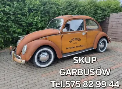 SKUP GARBUSÓW. 575 82 99 44