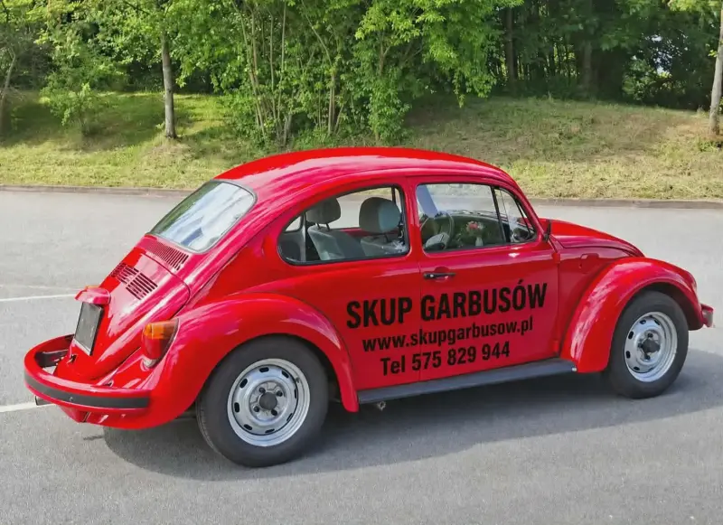 Skup Volkswagenów Garbusów Buggy Baja 575 829 944