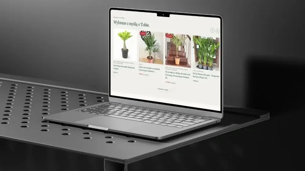 Strony internetowe, sklepy WooCommerce i automatyzacje AI - zdjęcie 3