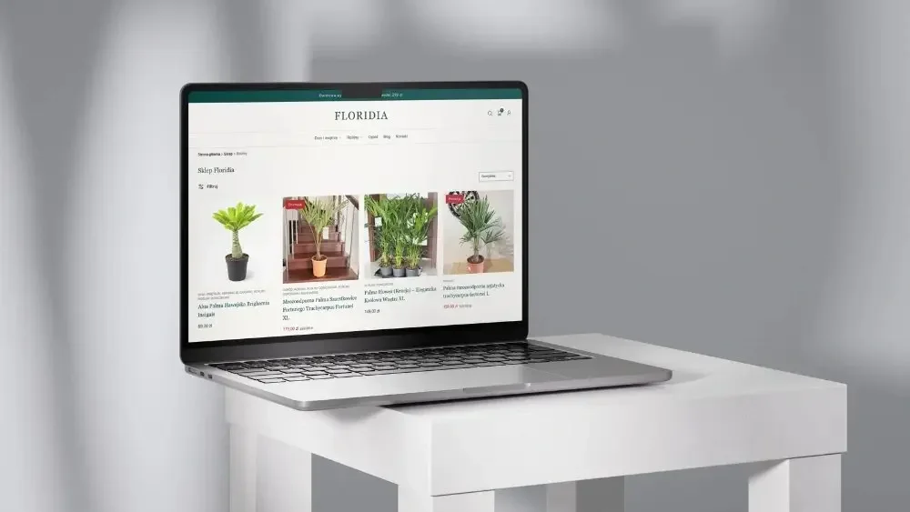 Strony internetowe, sklepy WooCommerce i automatyzacje AI - zdjęcie 1