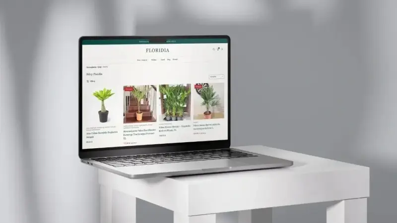 Strony internetowe, sklepy WooCommerce i automatyzacje AI