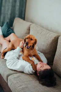 Opiekun zwierząt / Petsitter – elastyczna współpraca z Alvis - miniatura 6