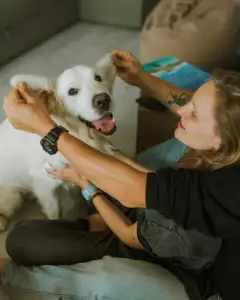 Opiekun zwierząt / Petsitter – elastyczna współpraca z Alvis - miniatura 2